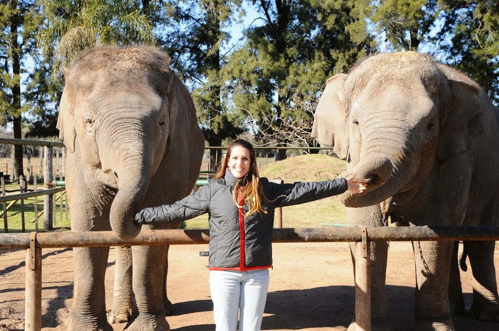Zôo de Luján – Brincando com felinos em Buenos Aires
